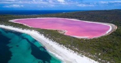 pink lake