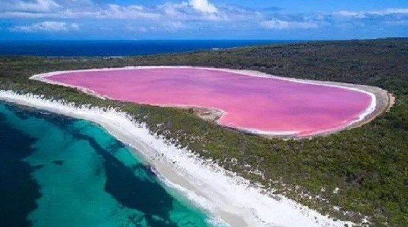 pink lake