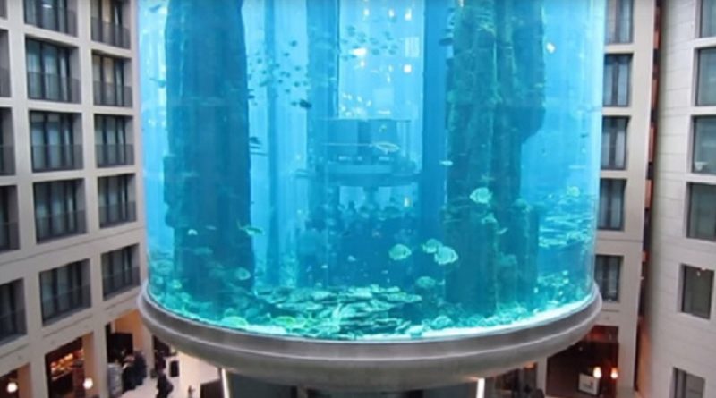 elevator aquarium