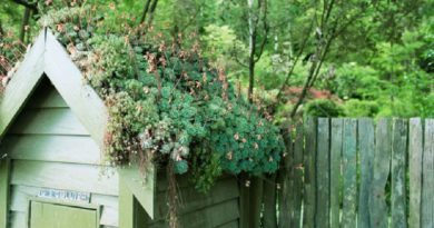 Diarmuid Gavin: Grow Yourself A Roof Garden