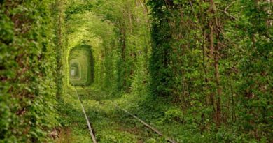 Tunnel Of Love In Ukraine,Most Romantic Place On Earth(VIDEO)