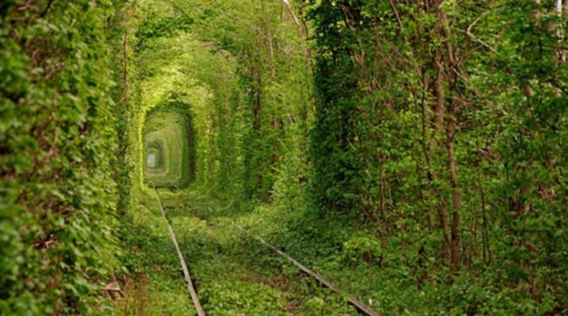 Tunnel