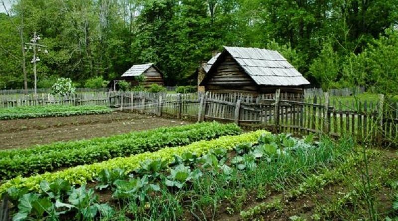 homesteading