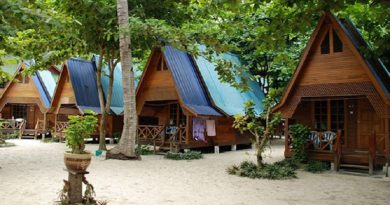 Cocohut