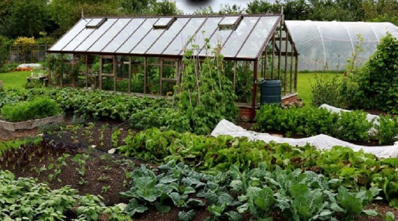 Charles Dowding's Incredibly Productive No Dig Market Garden (1/4 Acre)