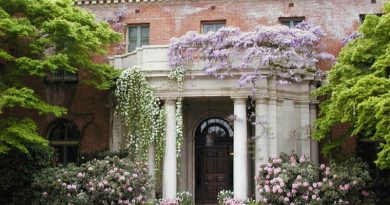 filoli american beauty