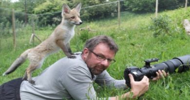 Images That Prove That Being A Wildlife Photographer Is The Best Job In The World!