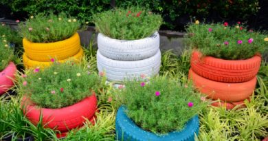 tire garden