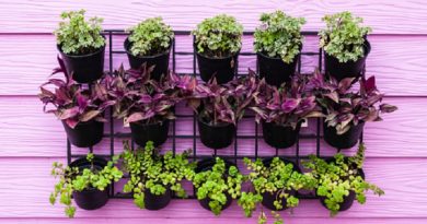 garden up vertical garden