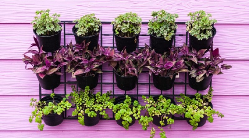 garden up vertical garden