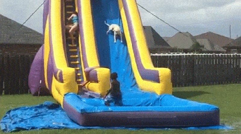 Waterslide