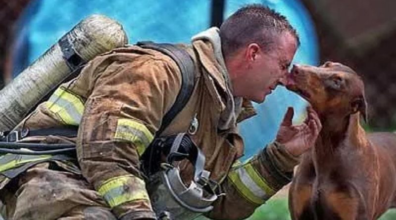 Firefighters Saving