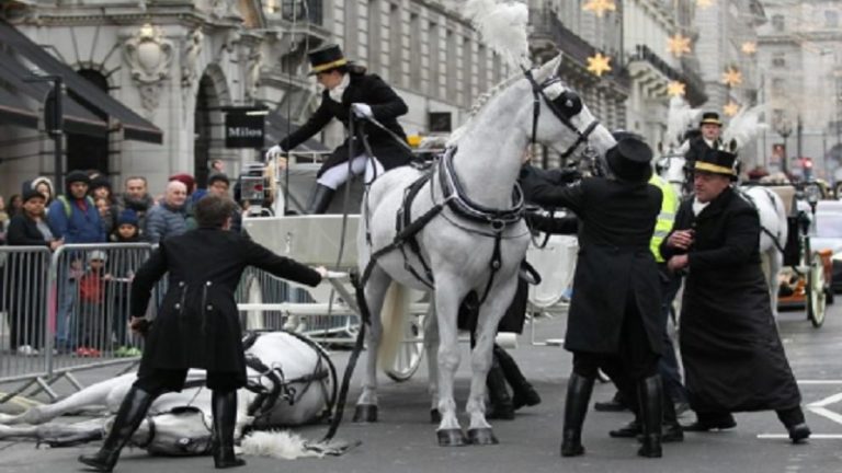 Horse Collapses During London New Year’s Day Parade