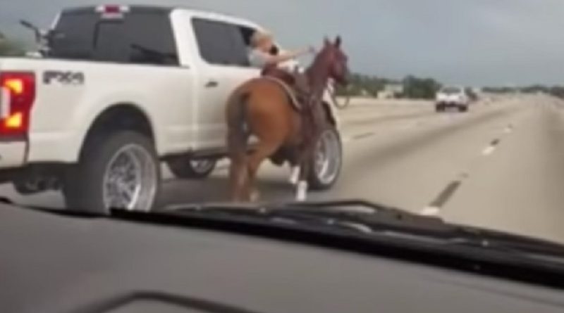 Horse Highway