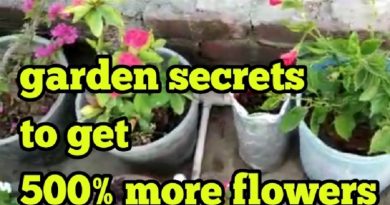 GARDEN SECRETS