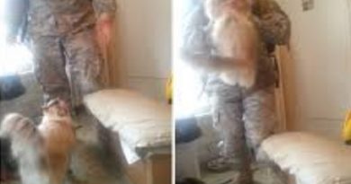 Cat Welcomes Soldier