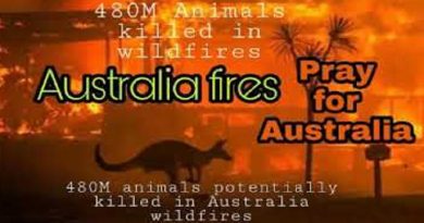 Animals Australia