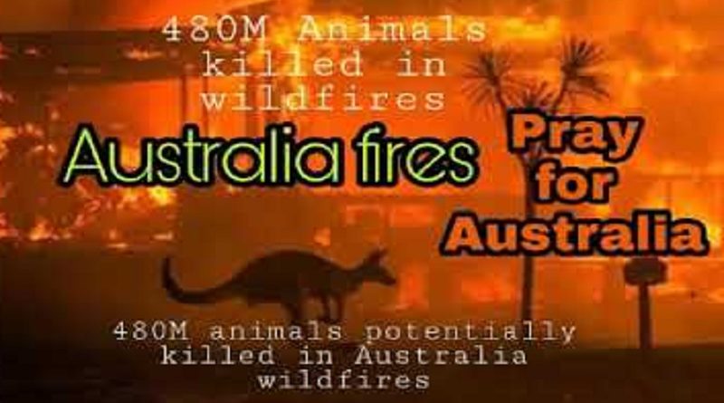 Animals Australia