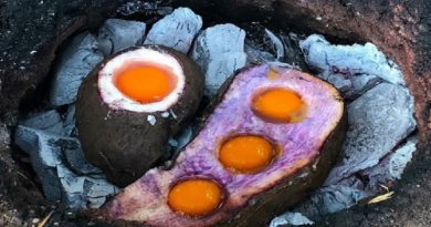 Egg Potato Primitive