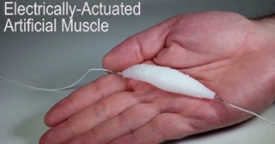 Artificial Muscle