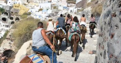 Tourists Donkeys