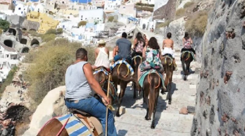 Tourists Donkeys