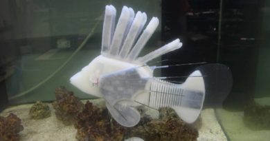 Robotic Fish