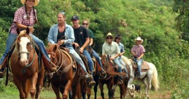 Trail Riding