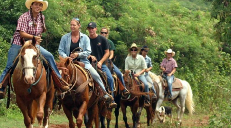 Trail Riding