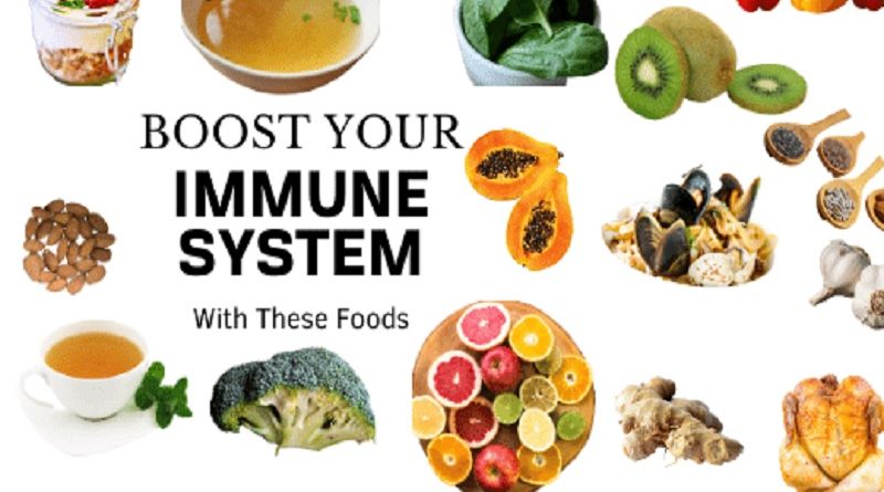 Immune System