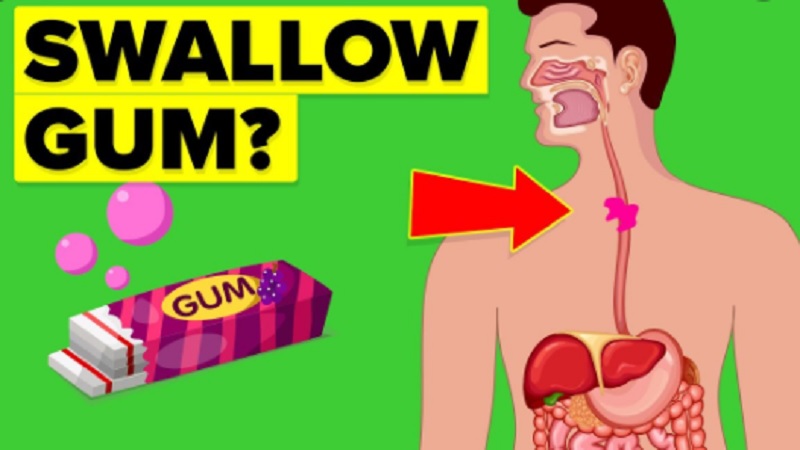 Swallow Gum