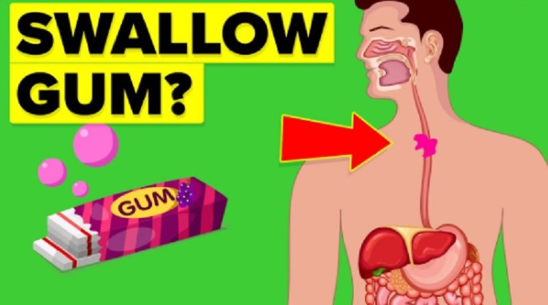 Swallow Gum