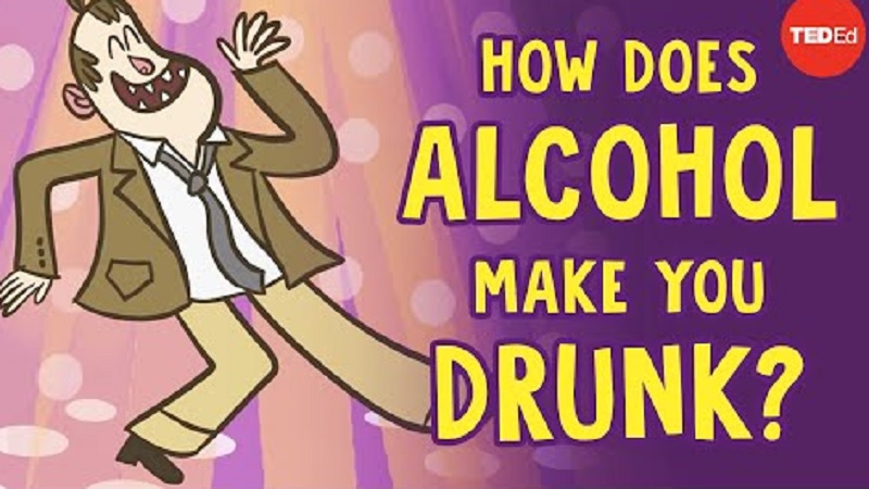 Alcohol Make Drunk 