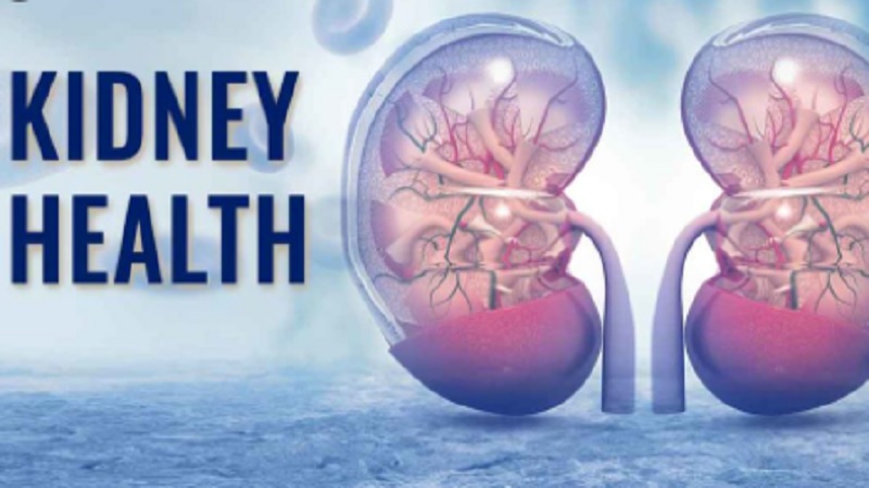 Kidneys Health Care