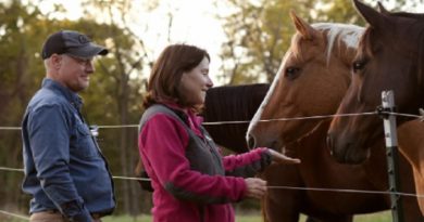 Horses Retire Farms