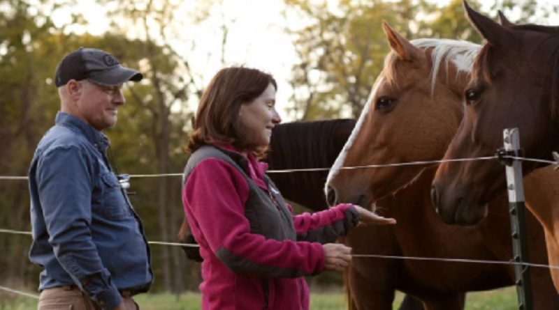 Horses Retire Farms