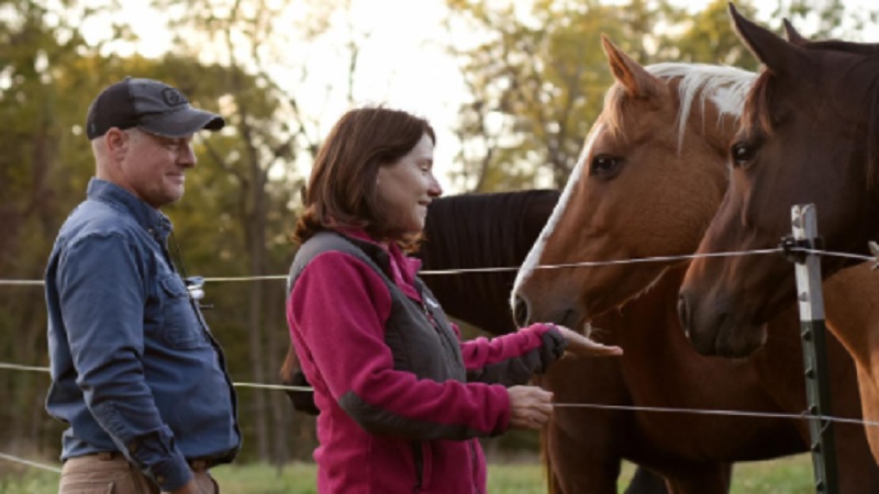 Horses Retire Farms