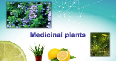 Medicinal Plants